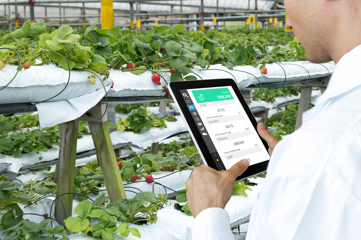 Agricultural Tech Support Solutions