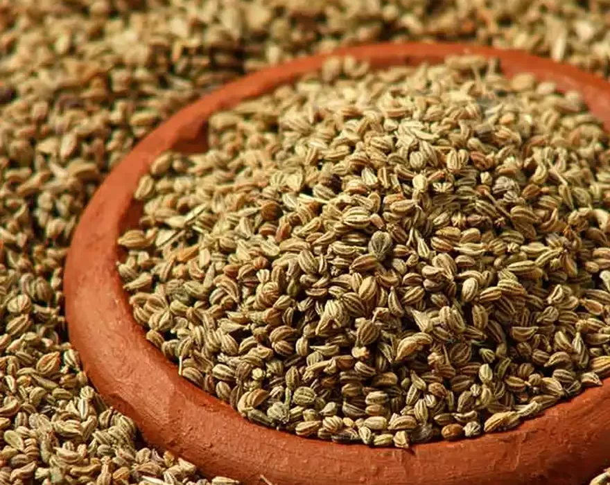 Ajwain - Omam