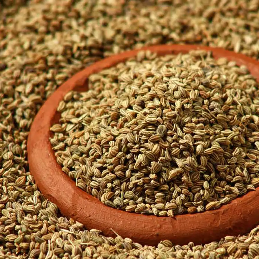 Tusker Berry Ajwain (Omam) | Aromatic Carom Seeds for Cooking & Digestion - Tusker Berry