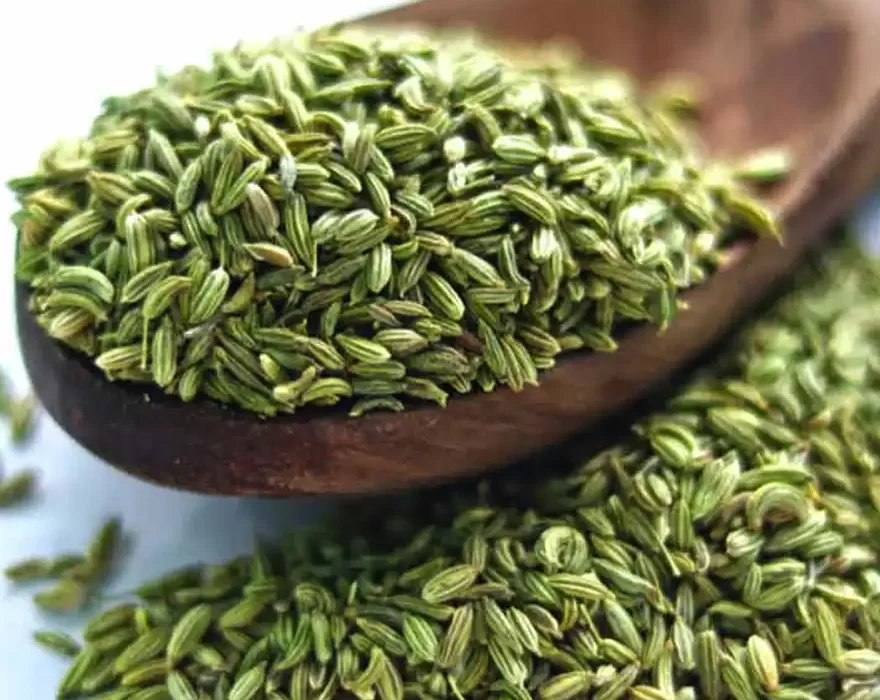 Aniseeds - Sombu