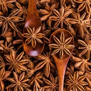 Annachi Poo – Star Anise
