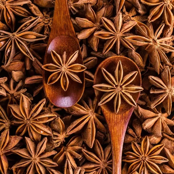 Tusker Berry Annachi Poo (Star Anise) | Aromatic Spice for Biryani & Chai - Tusker Berry