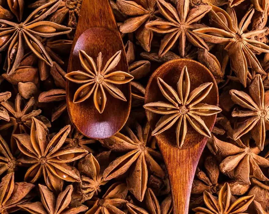 Annachi Poo - Star Anise
