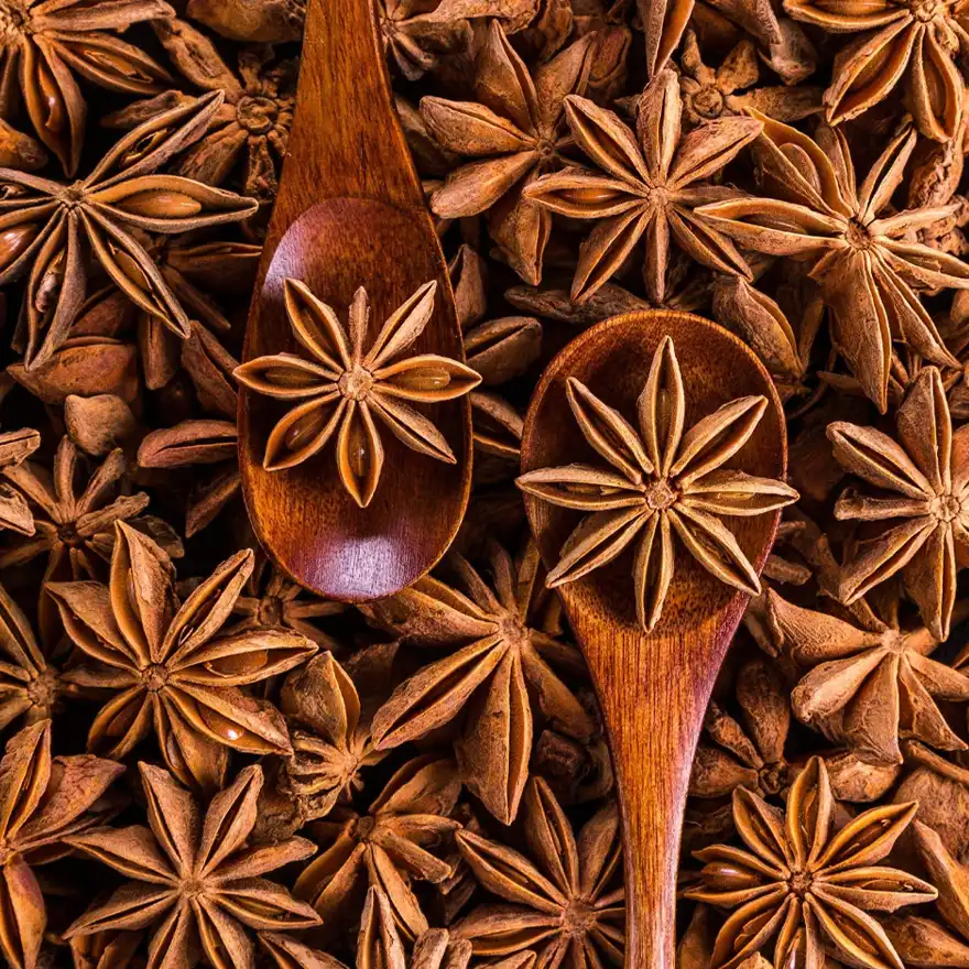 Tusker Berry Annachi Poo (Star Anise) | Aromatic Spice for Biryani & Chai - Tusker Berry