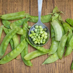 Avaraka Seeds (Mochaaa)