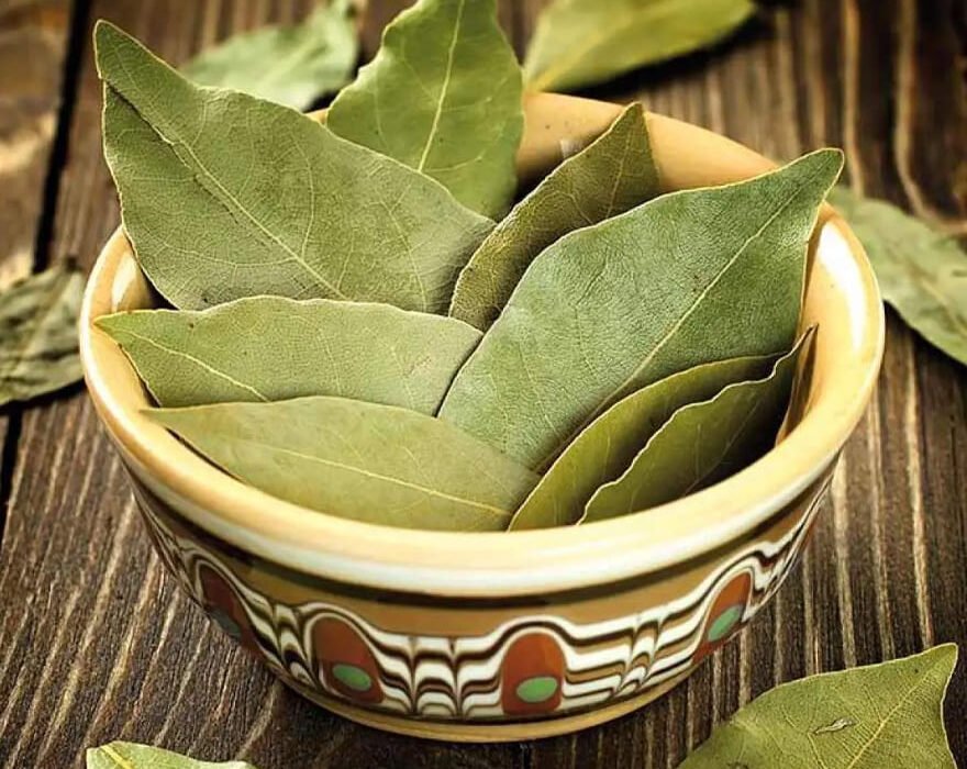 Bay Leaves
