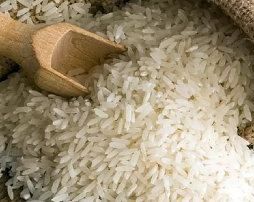Boiled Rice - Ponni
