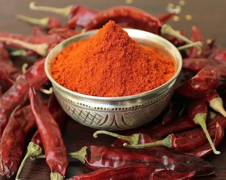 Byadgi Chilli