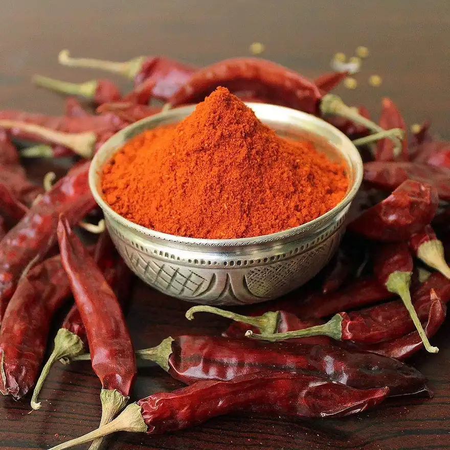 Tusker Berry Byadgi Chilli | Authentic Red Chilli – Mild Heat & Natural Color - Tusker Berry