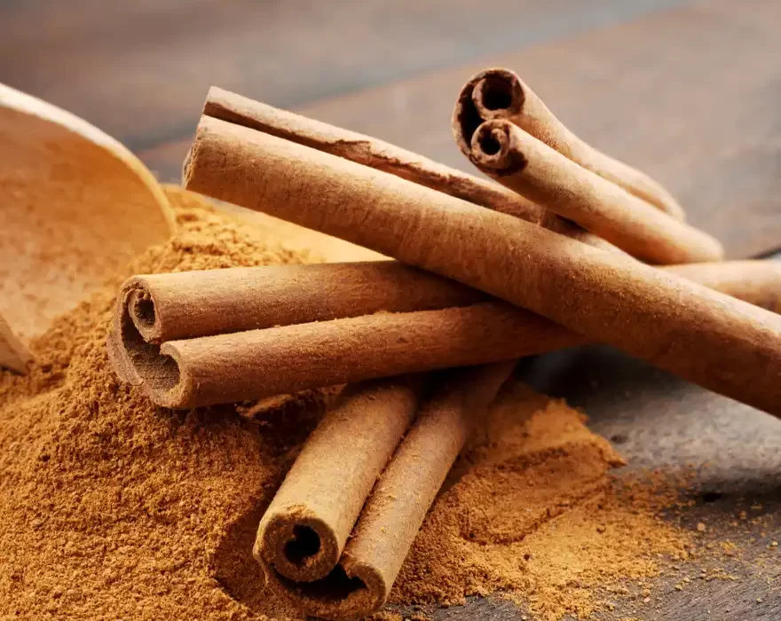 Cinnamon Stick