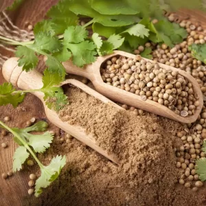 Coriander Powder (Masala)