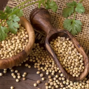 Coriander Seeds