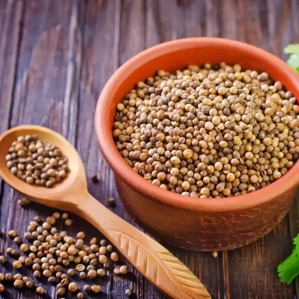Tusker Berry Coriander Whole | Premium Dhania Seeds – Aromatic & Natural - Tusker Berry