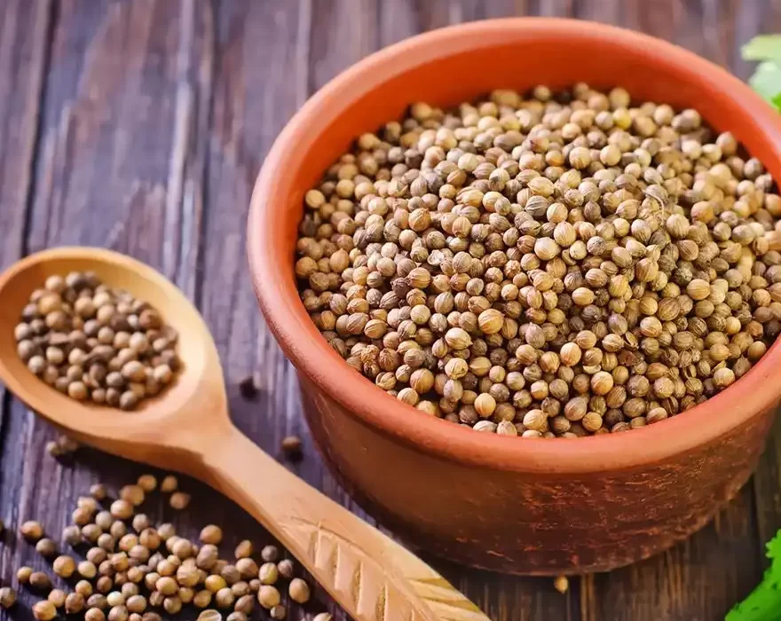 Coriander Whole