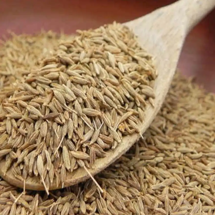 Tusker Berry Cumin Seeds (Jeeragam) | Pure & Aromatic – 100% Natural & Unpolished - Tusker Berry