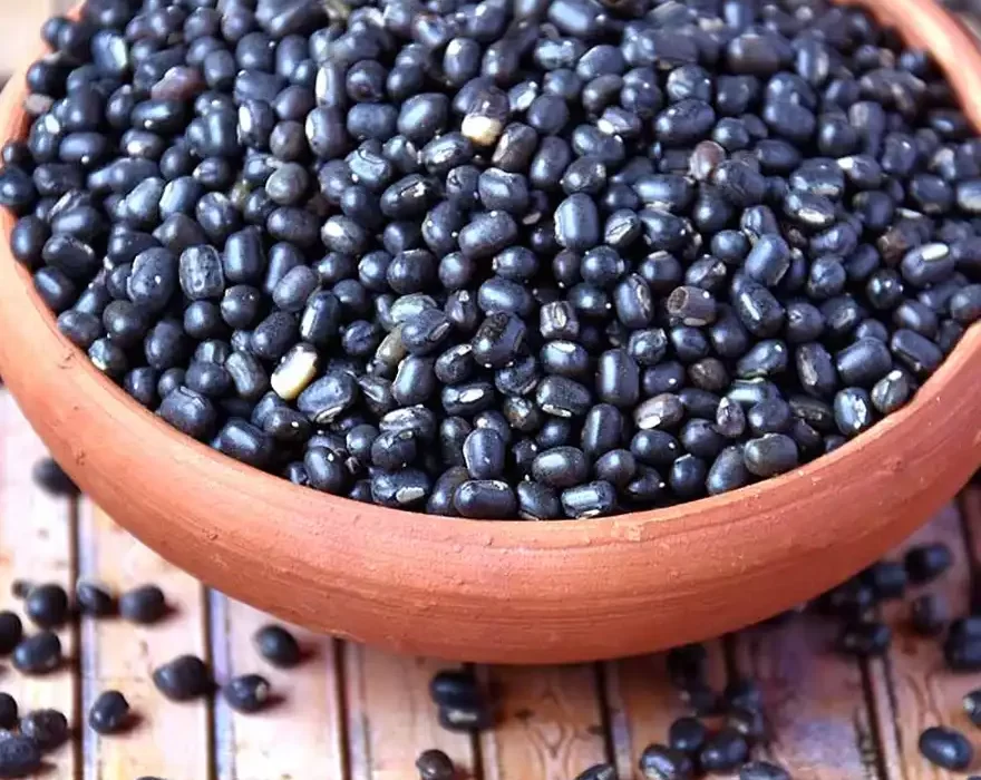 Black Orid (Dal)