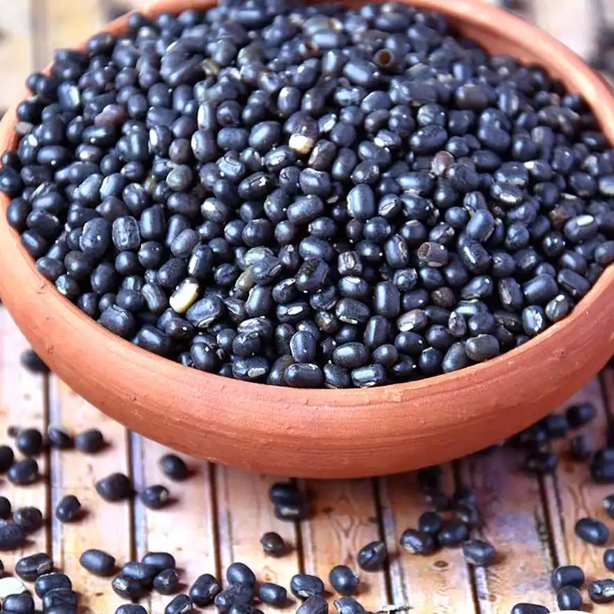 Tusker Berry Black Orid (Dal) | Whole Urad Dal – Unpolished, Protein-Rich & Natural - Tusker Berry