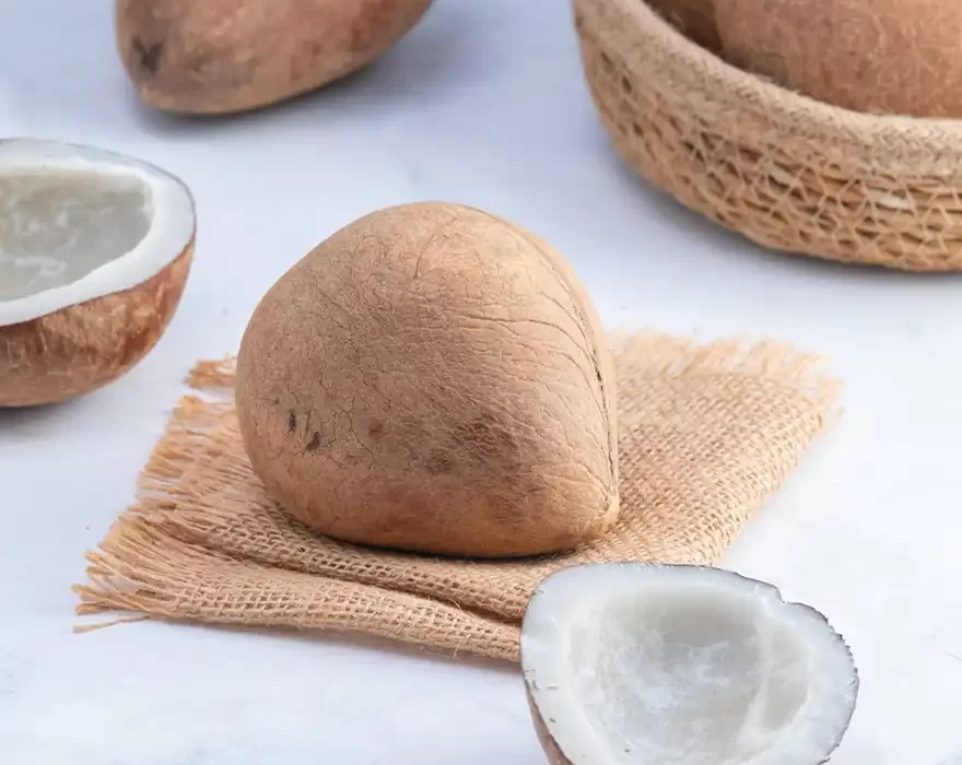 Dry Coconut