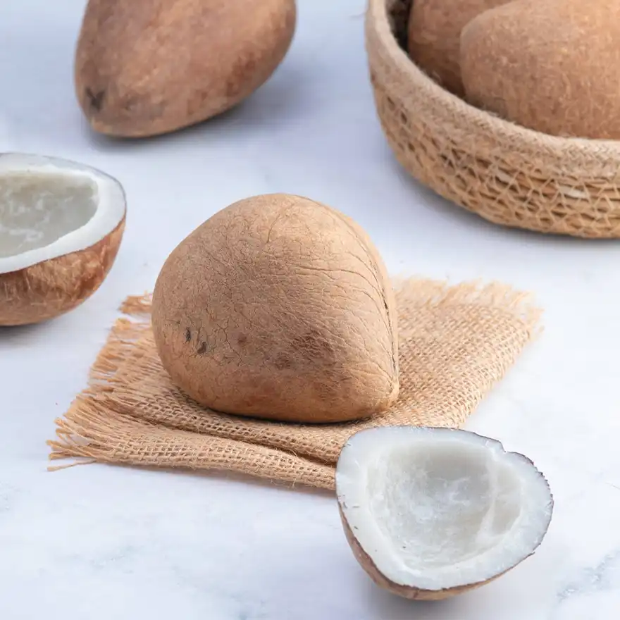Tusker Berry Dry Coconut | Natural Copra for Cooking, Snacking & Puja - Tusker Berry