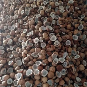 Dry Coconut
