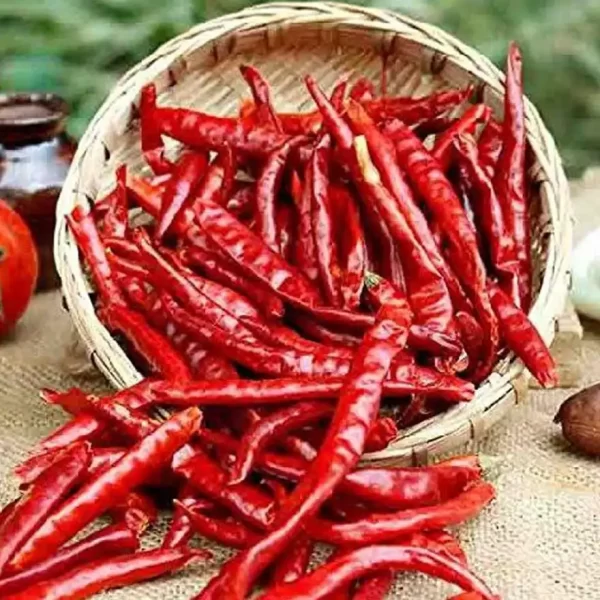 Tusker Berry Dry Red Chilly | Whole Sun-Dried Red Chillies – Pure & Spicy - Tusker Berry