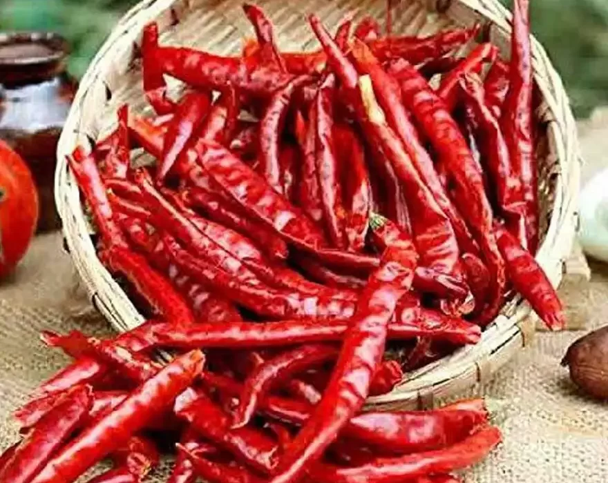 Dry Red Chilly - Long
