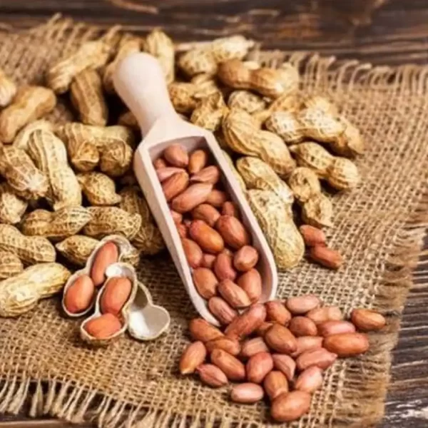 Tusker Berry Groundnut – Premium Peanuts | Natural Protein Snack & Cooking Ingredient - Tusker Berry