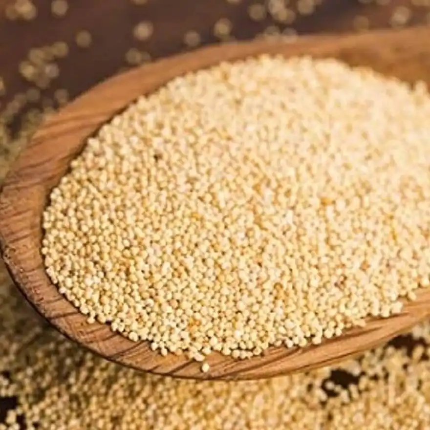 Tusker Berry Kasa Kasa | Premium White Poppy Seeds – Pure & Flavorful - Tusker Berry