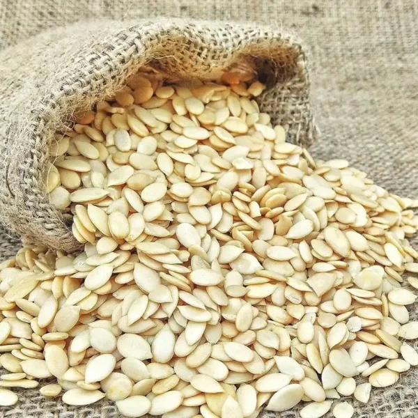 Tusker Berry Magaz | Natural Melon Seeds – Rich in Protein & Healthy Fats - Tusker Berry