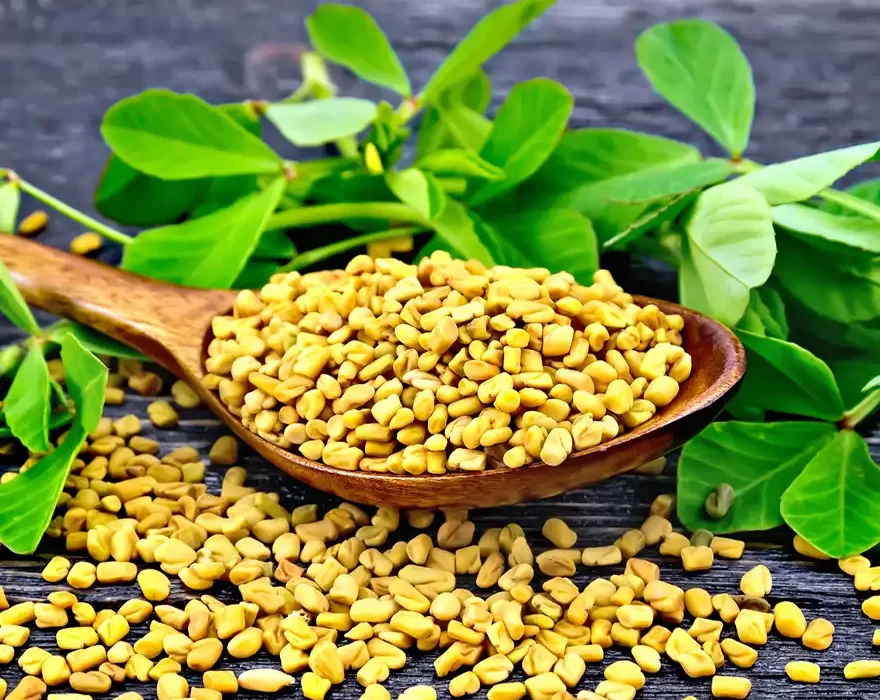 Methi Seeds - Vendhayam