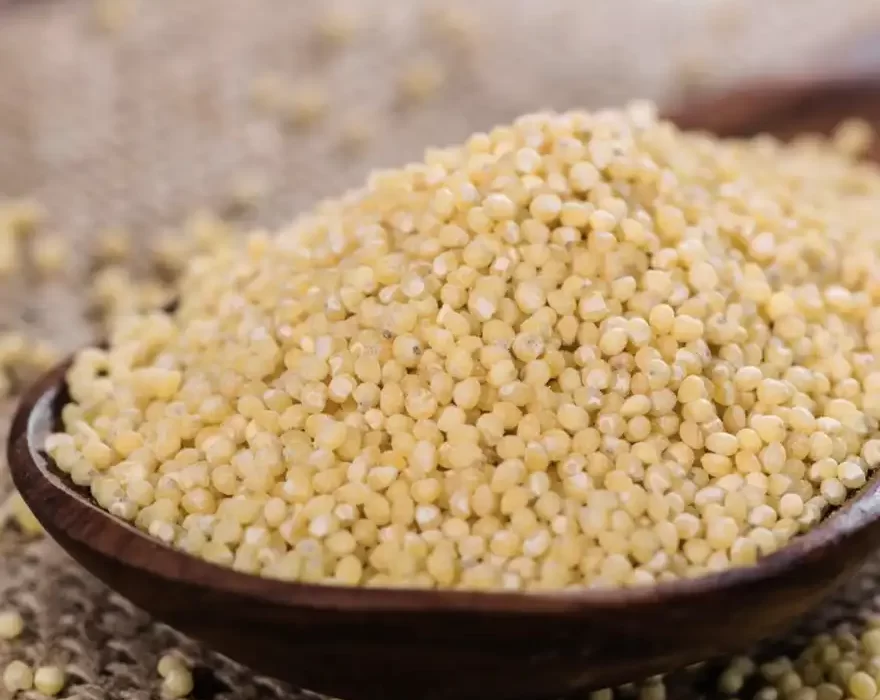 Millet (Samai)