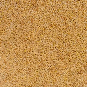 Millet (Samai)