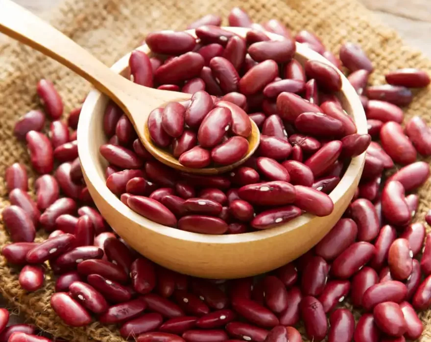 Rajma (Dal)