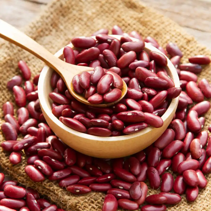 Tusker Berry Rajma (Red Kidney Beans) | Natural, High-Protein Dal for Hearty Meals - Tusker Berry