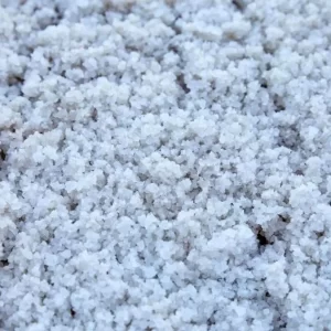 Salt – Rock
