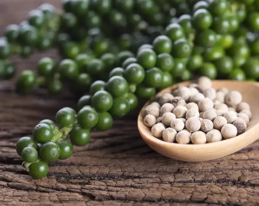 White Pepper