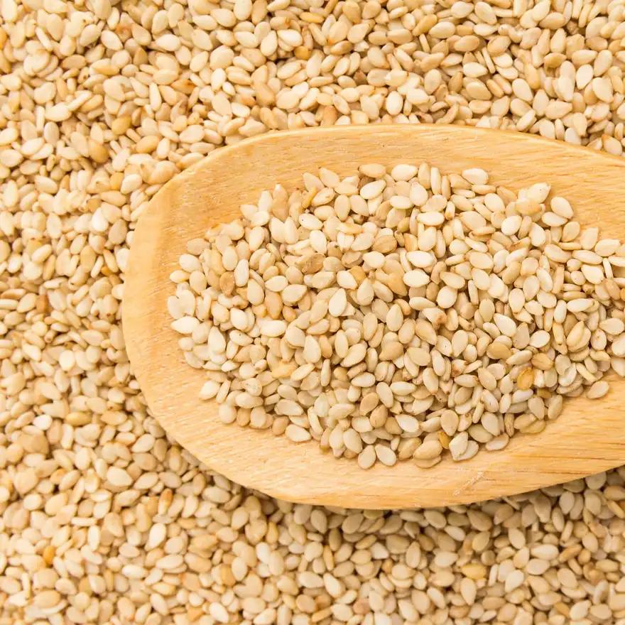 Tusker Berry White Til | Pure & Natural White Sesame Seeds – High in Calcium & Protein - Tusker Berry